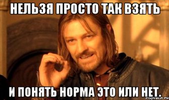Шимпанзе в Африке придумали какого-то бога и ему молятся