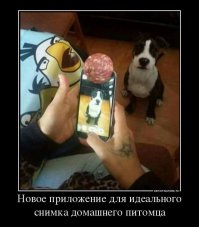 Цуко, это гениально!