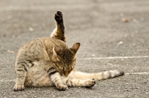 Люблю я иногда что-то доработать и усовершенствовать для личного пользования 