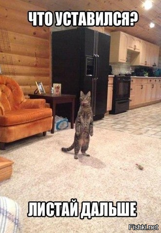 Из солянки от 05.03.2016