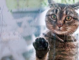 Из солянки от 05.03.2016