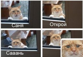 Из солянки от 05.03.2016