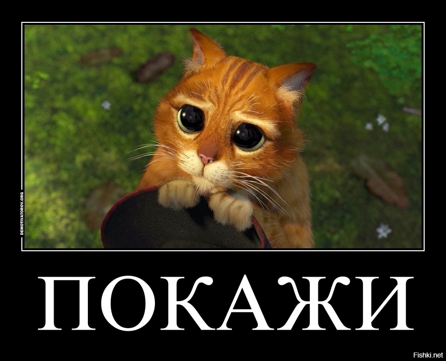 Из солянки от 05.03.2016