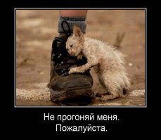Уродливый Кот