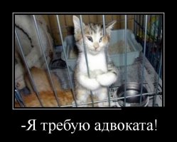 Автор желает вам хорошего настроения