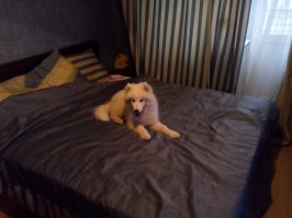 У меня такой 4 месяца.
скоро будет здоровый.