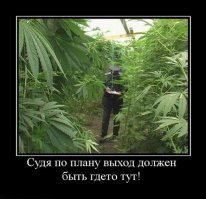 Зачем выход, если есть план?