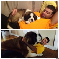 Бетховин продолжение