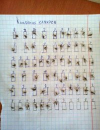 Вирус Зика в России - как защититься самому