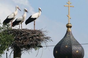 Россия без понтов, официоза и пошлятины