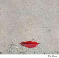 Подборка ужасно красивых фотографий