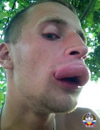 Что чувствуют мужчины, выгуливающие женщин-уток?