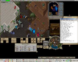 Ultima Online 24 сентября 1997 года, лучшая MMORPG, ничего интереснее и динамичнее не придумали, все современны MMORPG, это просто мусор, тупой кач.