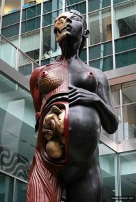 Анатомические воздушные шары, от которых по телу пробегает дрожь