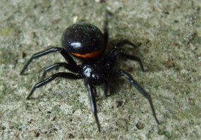 Подборка интересных фото