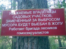 20 счастливчиков, которые сумели устроиться на работу своей мечты