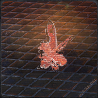 Да ну нафик!?Кристалл одеваешь и вперед!