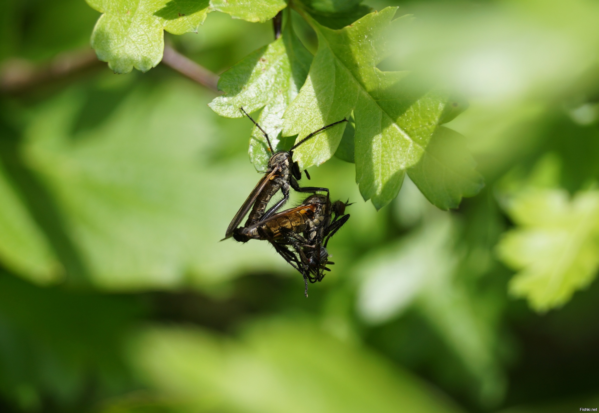 шикарный кадр