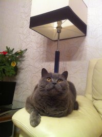 Смешно :)