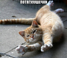 Что Вы тянете на самом деле: растяжка мышц в картинках