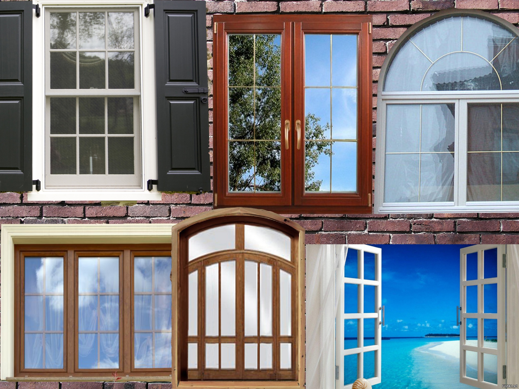 Из солянки от 07.03.2016