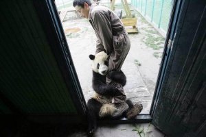 Как британские патрульные нарушителя задерживали