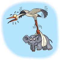 Самые популярные ответы на вопрос ребенка "Откуда берутся дети?"