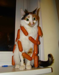 О тех, кто конкретно задолбался!