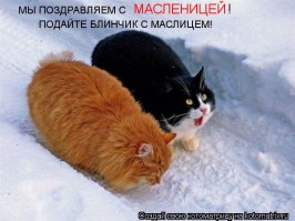 Масленица: традиции, история праздника