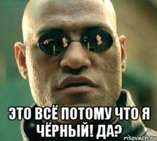 В бирманском янтаре нашли древнейших хамелеонов возрастом 99 млн лет  