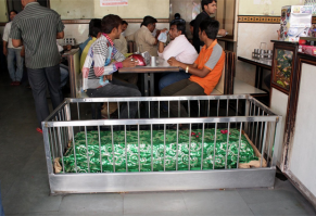 по этот забыли New Lucky Restaurant, Ахмедабад, Индия (Ресторан построили на старом мусульманском кладбище - могилы решили не убирать. Посетителей это не только не смущает - ресторан очень популярен. В Индии, где большинство верит в реинкарнацию, и содержать такой ресторан, и питаться в нем - к большой удаче. Самые популярные позиции - масляные рулеты и чай с молоком)