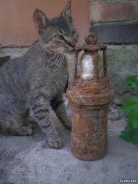 Свадебный курьёз: невеста была в шоке, когда узнала имя жениха