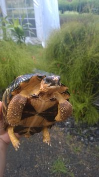 Фоткал на Коморах. А так и не скажешь, что им, возможно, по 100 лет