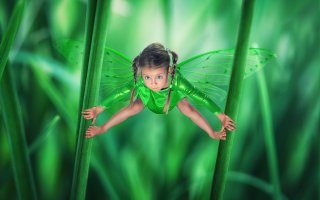 Это бабочки натоптали.