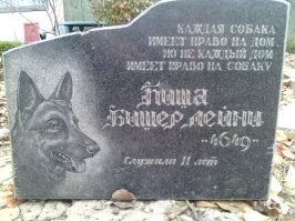 Привезли из Венгрии в 1992 году. Ессесно по-русски ни одной команды, но в течении месяца всё ОК. Сабака-сказка. Плакал месяц.