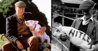 Вспомнилось..)