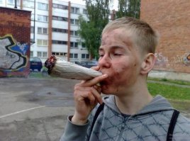 Подборка идиотских фотографий