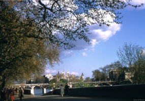 напротив Нотре Дам жандармерия Парижа, тоже примечательные ворота у них. и набережная Лувра