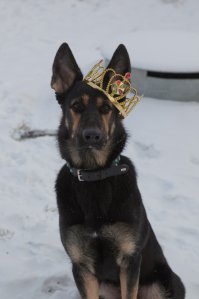 Моя красавица!