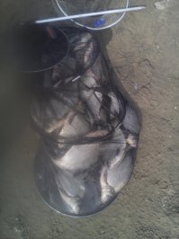 Вот сегодня и без пива и водки
Москва-река.