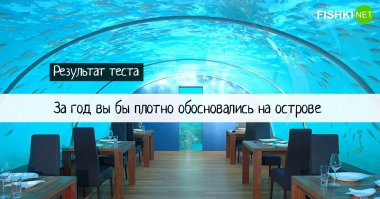 Тест: Сможете ли вы выжить на необитаемом острове? (9 вопросов)
