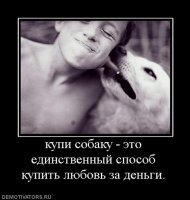 11 примеров того, как собаки смотрят на своих хозяев