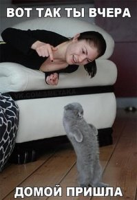 Какая ж я пьяная! (1 фото+видео)