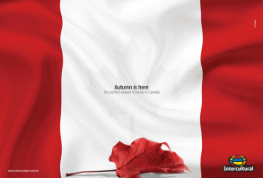 Самый главный и доставляющий демотиватор! (когда совпадают и желания и возможности))