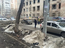 А ведь сейчас и второе древо <span style='color:gray'>[мат]</span>...ся.Тогда точно не повезёт и тётеньке и репортёру.