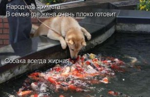 Народные приметы зрят в корень!