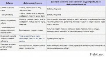 Немного хоккея