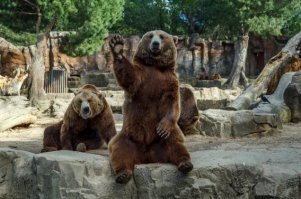 Японские порноактрисы (10 фото)