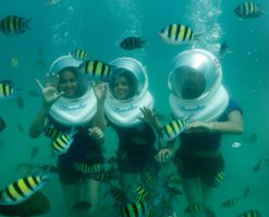 ... реклама Билайн?