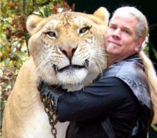 Геркулес - самая большая кошка